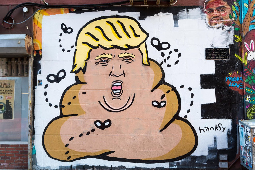 2016's Most Memorable Political Street Art